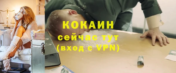 ПСИЛОЦИБИНОВЫЕ ГРИБЫ Абаза