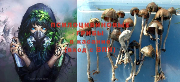 ПСИЛОЦИБИНОВЫЕ ГРИБЫ Абаза