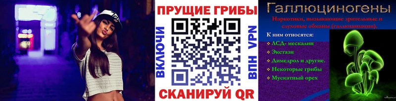 Псилоцибиновые грибы мицелий  ссылка на мегу ссылка  Фрязино 