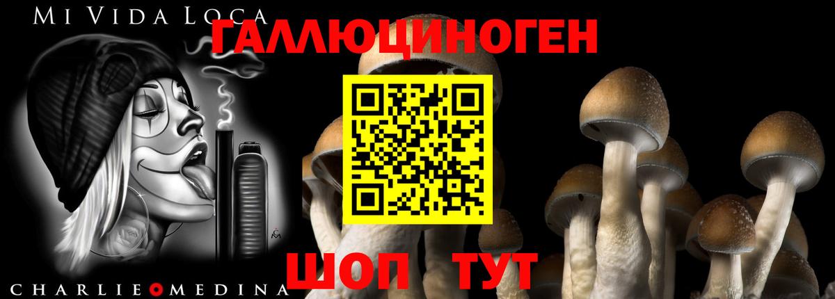 цена   Галлюциногенные грибы Magic Shrooms  Псилоцибиновые грибы Psilocybe  Вход с VPN  Фрязино 